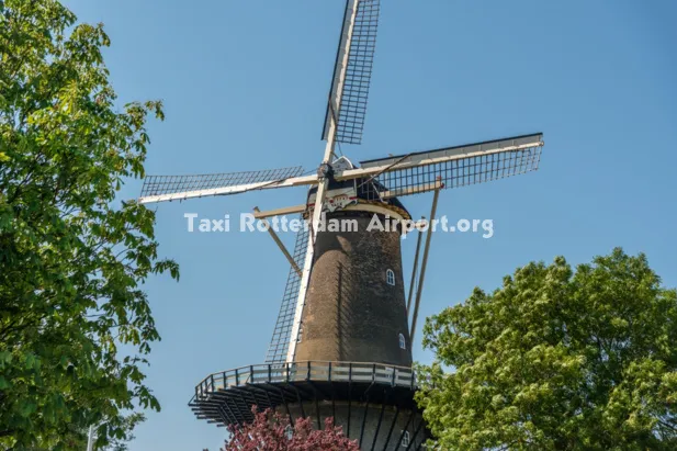Taxi van Bovensmilde naar Rotterdam Airport